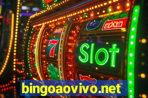 bingoaovivo.net