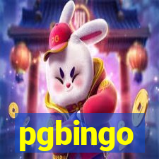 pgbingo