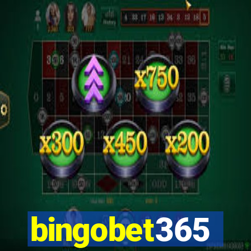 bingobet365