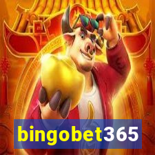 bingobet365